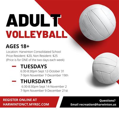 Adult Volleyball Fall